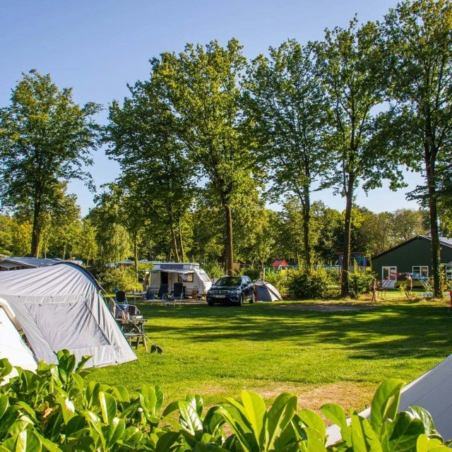 Basis kampeerplaats Hemelvaart & Pinksteren