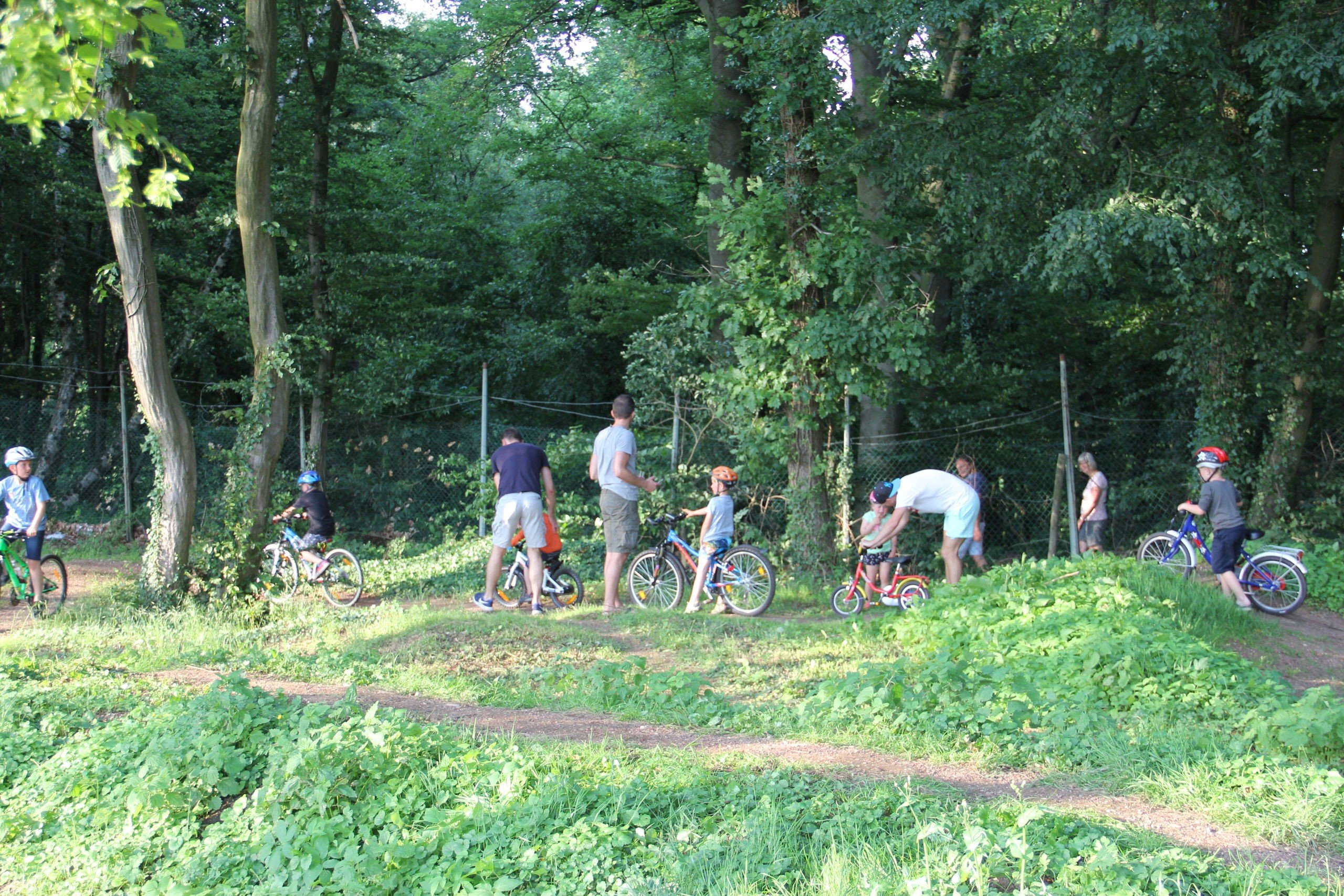 camping in zuid limburg